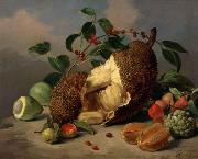 Mota, Jose de la Still life with fruit oil painting artist